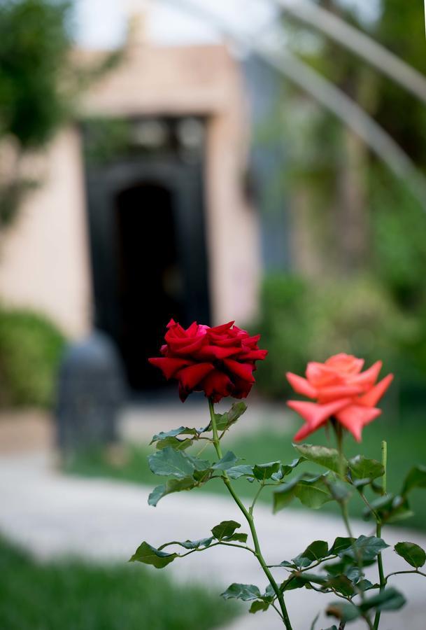 All Green House Marrakesh Exterior foto